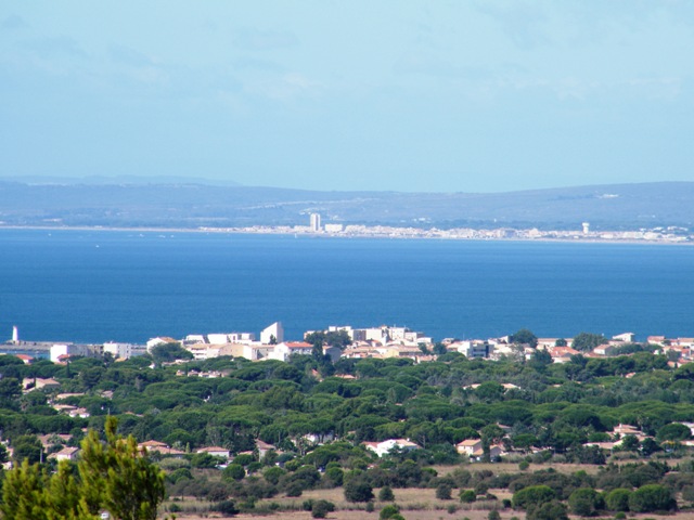 image4