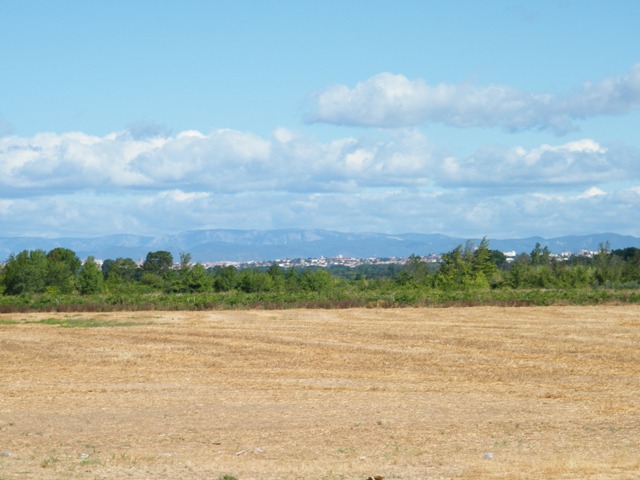 image25
