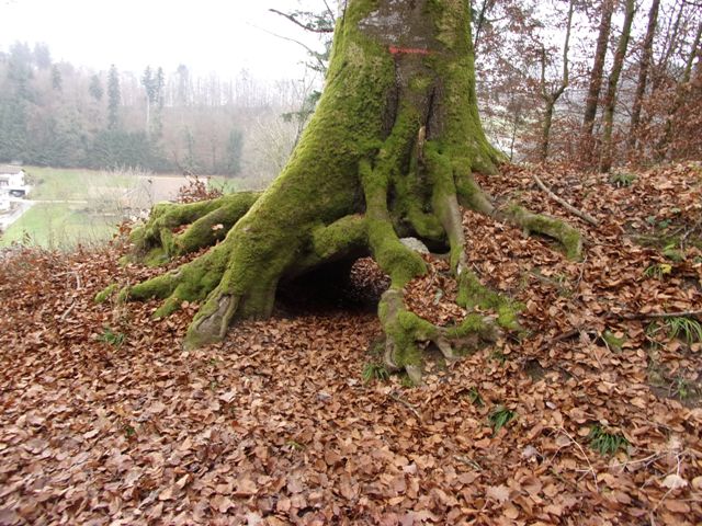 image24