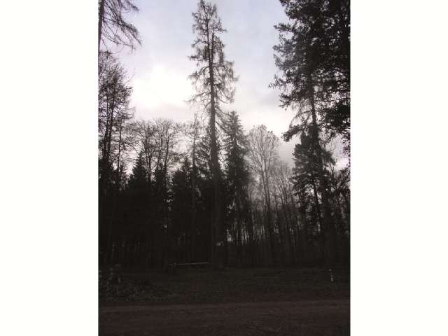 image17