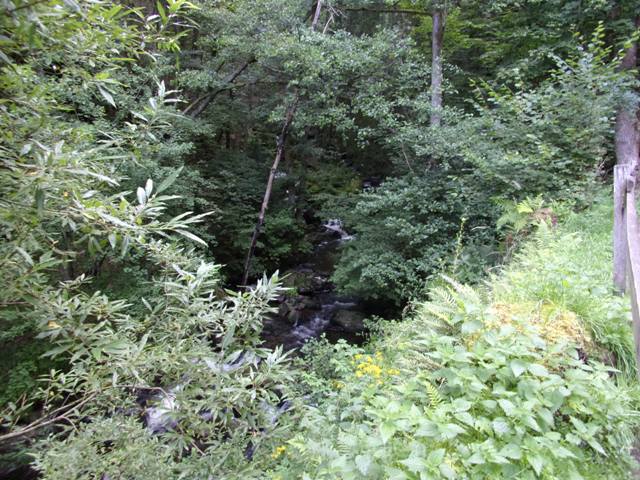 image10