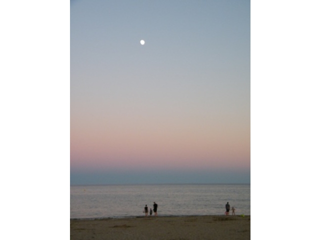 image33